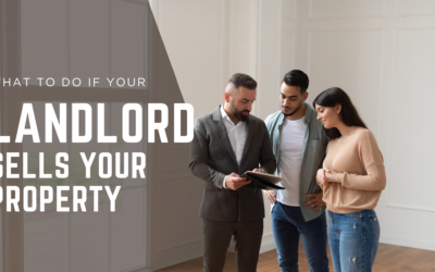 What to Do If Your Landlord Sells the Property: Tenants’ Rights Explained